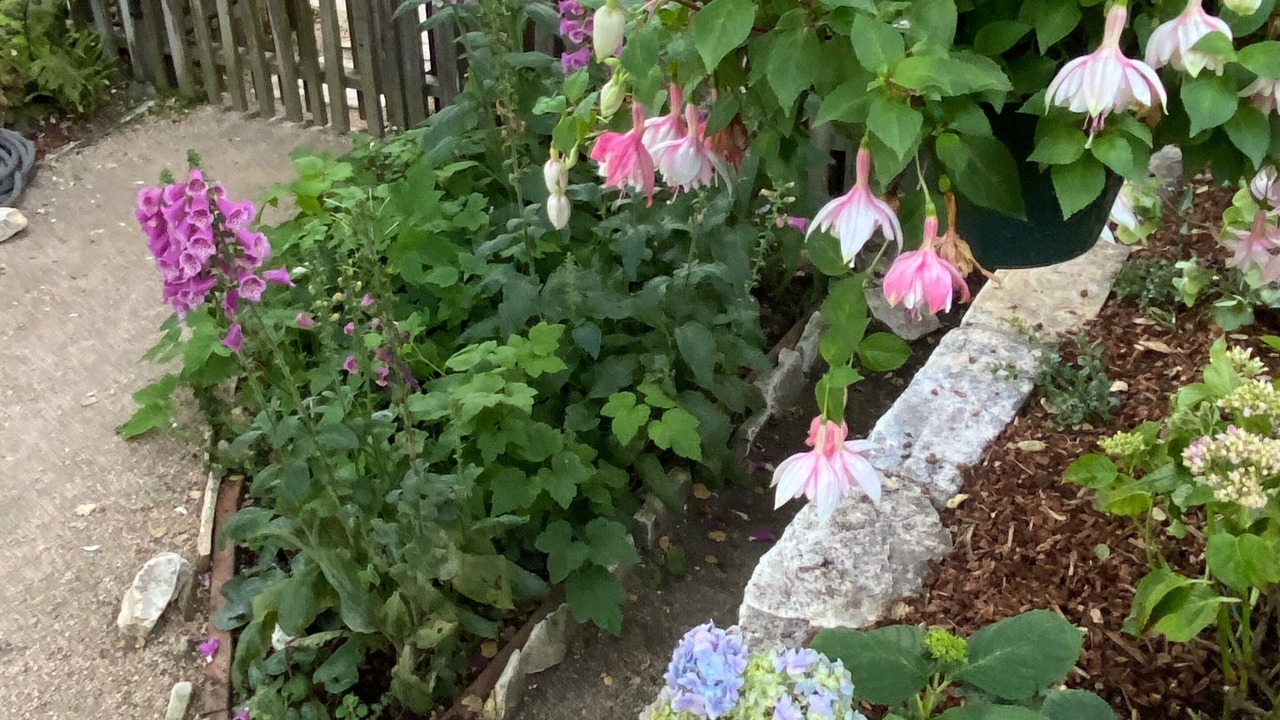 Photo of Outdoor in Northeast Carmel
