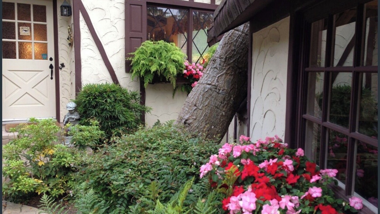 Photo of Outdoor in Golden Rectangle