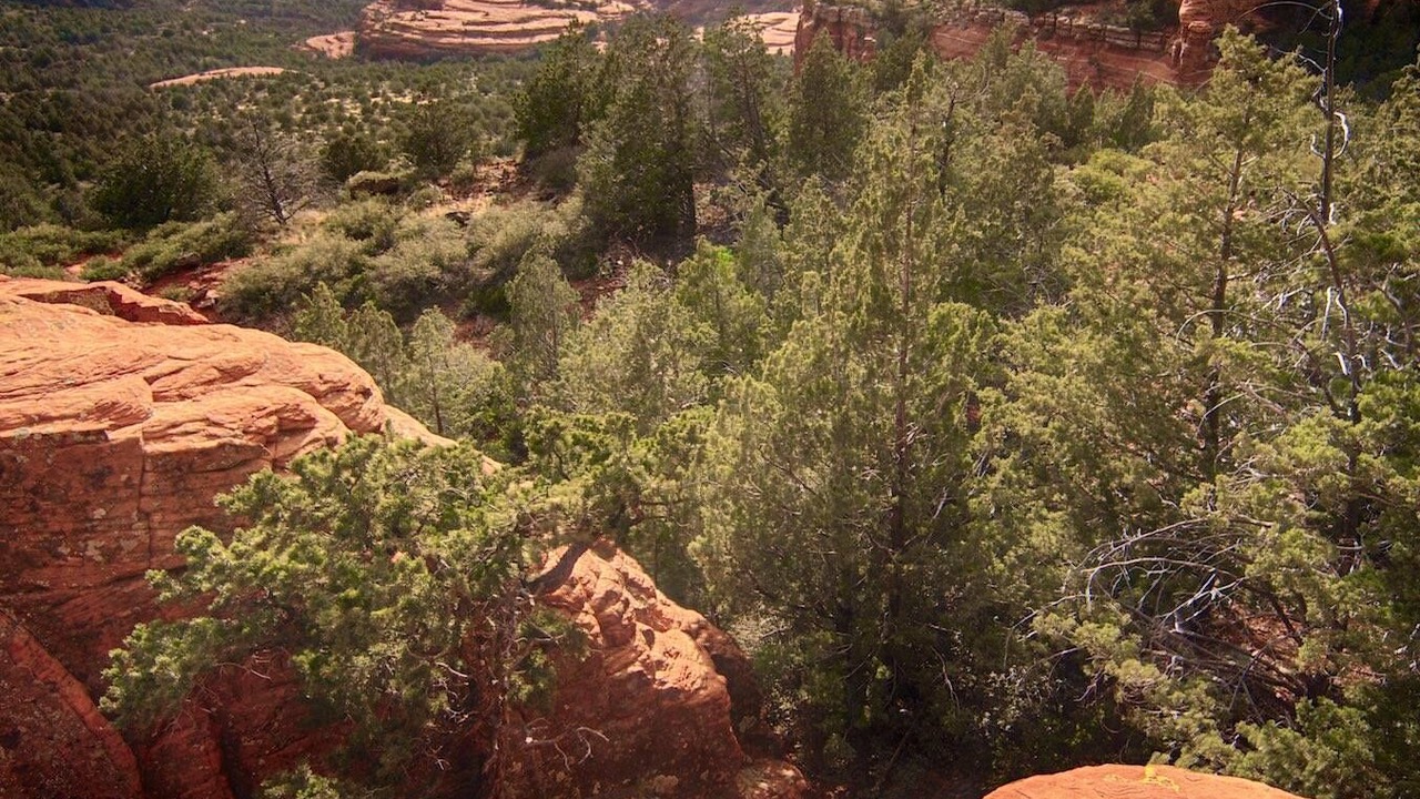 Photo of Outdoor in West Sedona