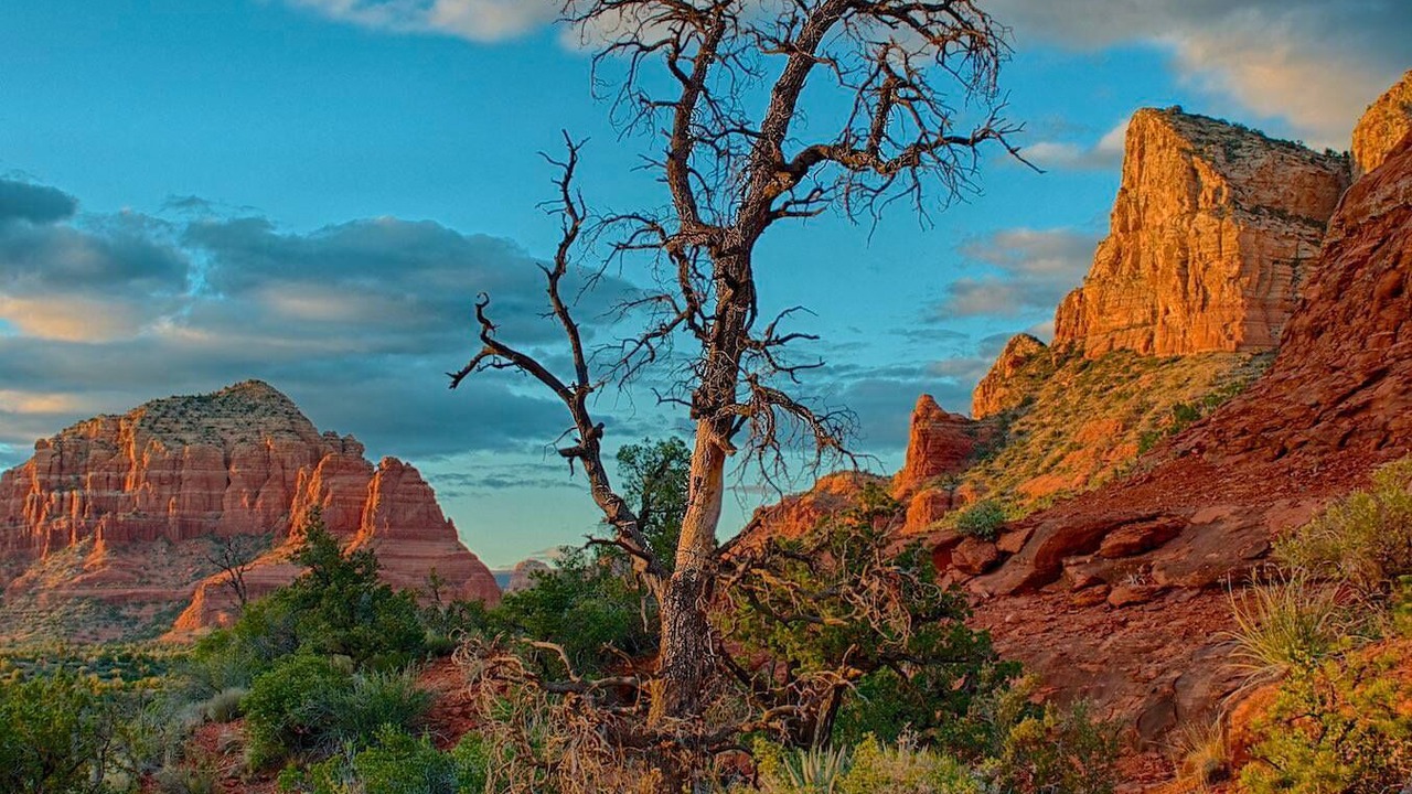 Photo of Outdoor in West Sedona