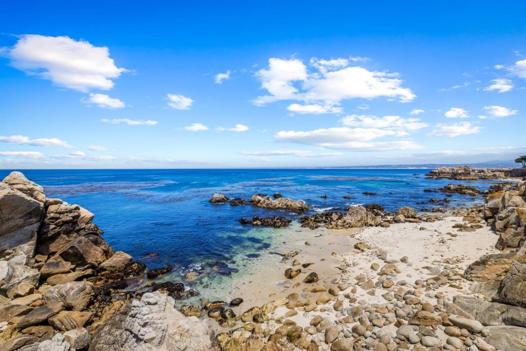Photo of Others in Pacific Grove