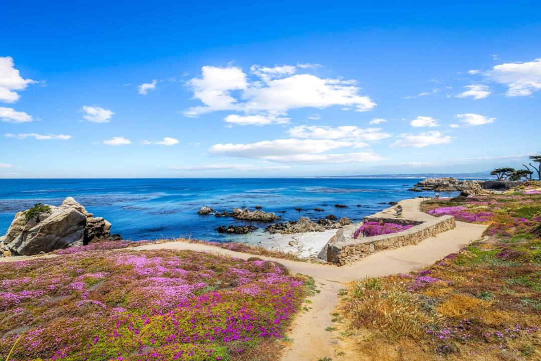Photo of Others in Pacific Grove