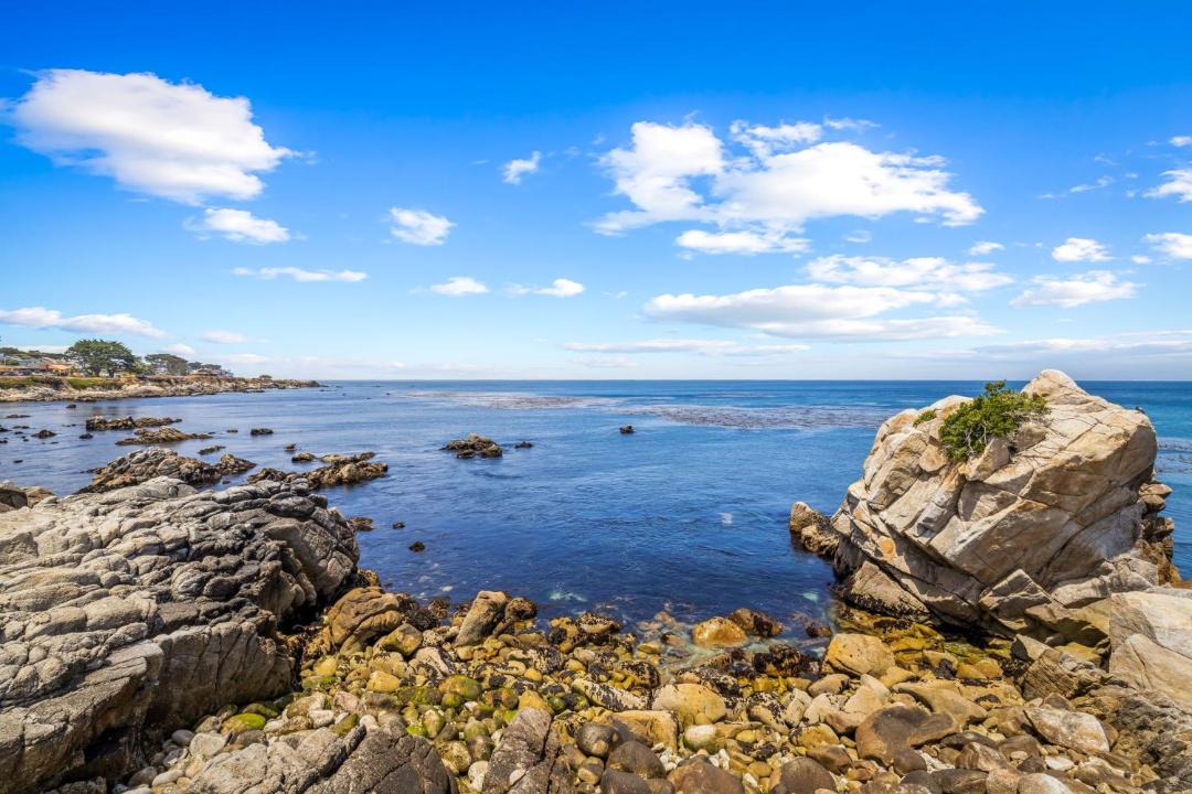 Photo of Others in Pacific Grove