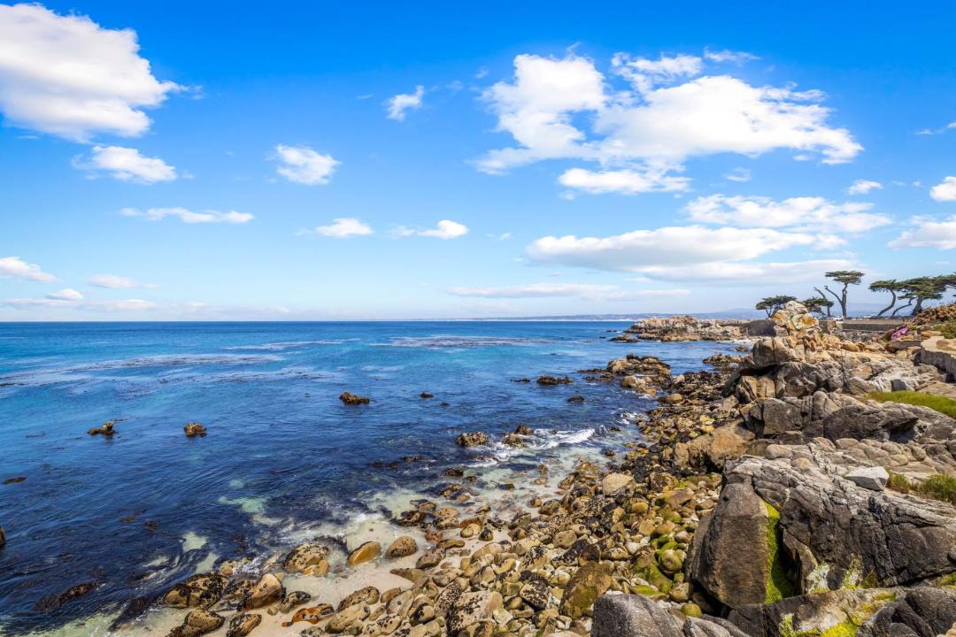 Photo of Others in Pacific Grove