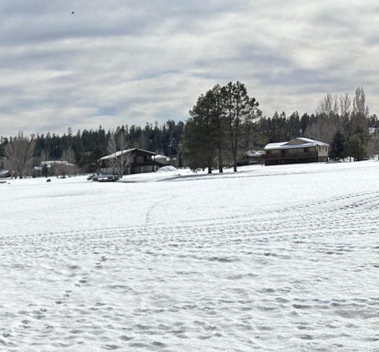Photo of Others in Munds Park