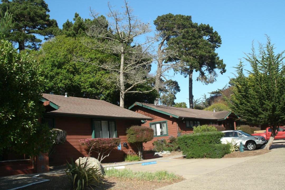 Photo of Others in Pacific Grove