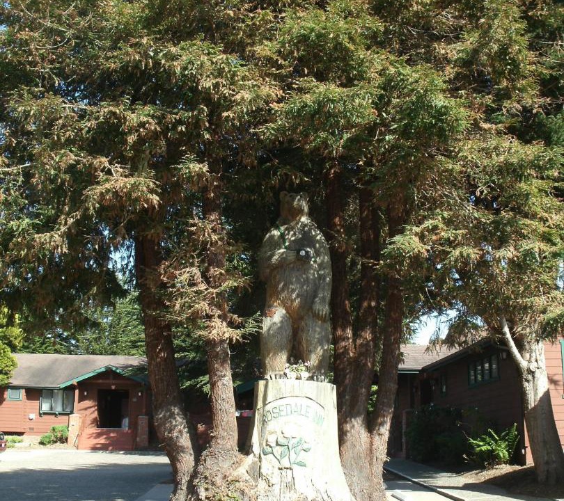 Photo of Others in Pacific Grove