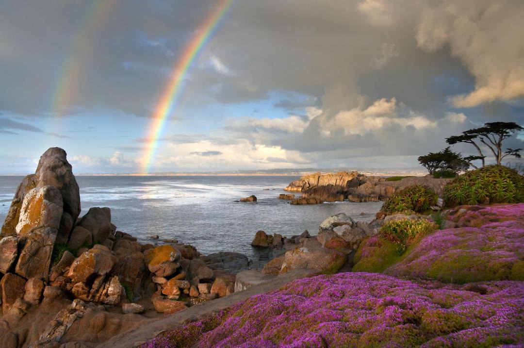 Photo of Others in Pacific Grove