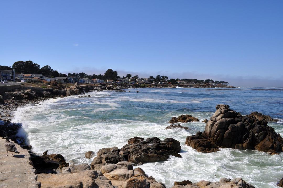 Photo of Others in Pacific Grove